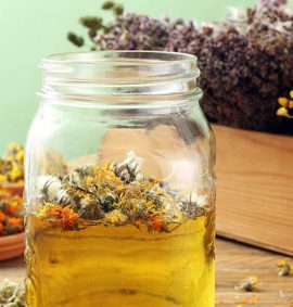 Fitoterapeuta képzés