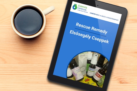 letölthető e-book