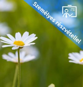 Bach-terápia gyakorlati felhasználás - személyes tanfolyam