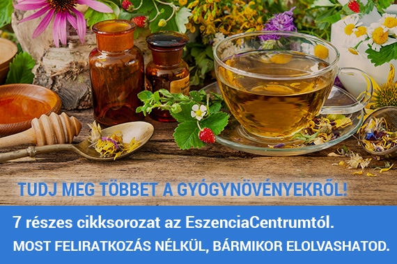 gyogynoveny-cikksorozat-het-reszes 7 részes cikksorozat a gyógynövényekről